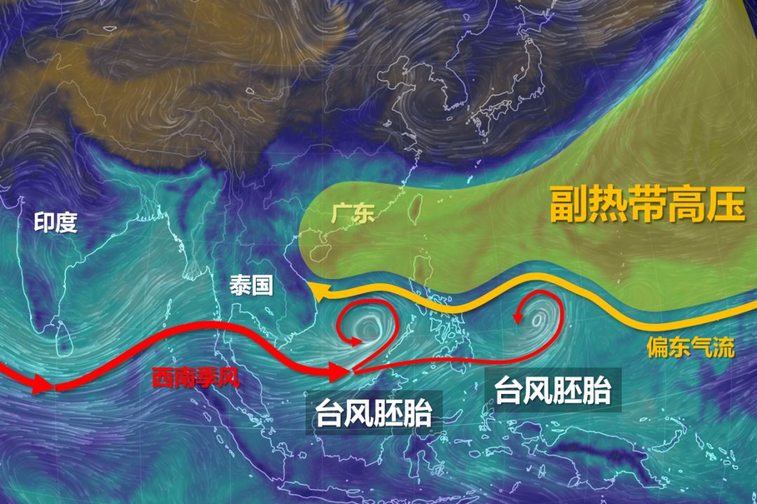 阳江台风最新信息全面解析，阳江台风最新信息全面解读