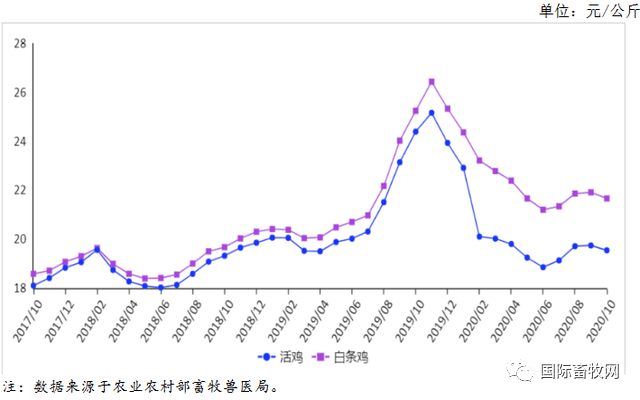 首饰金价最新报价，市场走势与影响因素分析，首饰金价最新动态，市场走势与影响因素深度解析